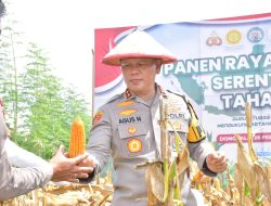 Panen Raya Jagung Polda Sulteng Upaya Mendukung Ketahanan Pangan Nasional