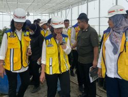 Proyek Teknologi Herbal dan Food Estate di Humbang Hasundutan
