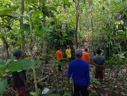 Pamit Berkebun, Lansia di Banggai dalam Pencarian Tim SAR Gabungan