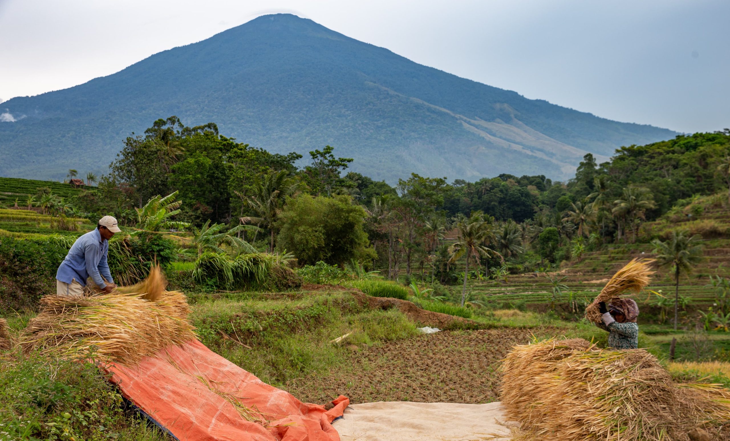 Menteri PU Sebut Teknologi IPHA Dongkrak Panen