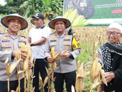Panen Raya Jagung, Polres Parigi Moutong Dukung Swasembada Pangan Nasional