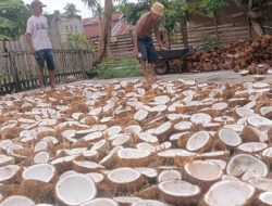 Disperindag Parigi Moutong soal Investor Kelapa