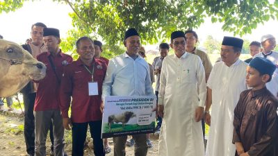 Pemda Parigi Moutong Salurkan Sapi Kurban Presiden di Kecamatan Tinombo Selatan