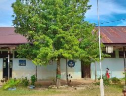 Akibat Gedung Mudah Roboh, Siswa SDN Kuala Bugis Parigi Moutong Terpaksa Belajar di Luar Kelas