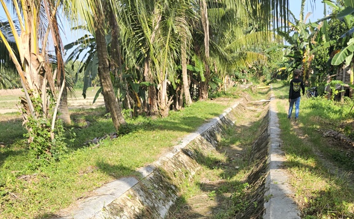 Kerusakan Irigasi Utama di Ampibabo Parigi Moutong Ancam Ketahanan Pangan Petani