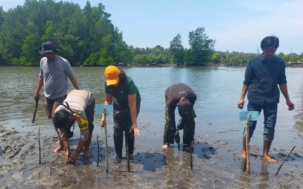 Hari Mangrove Sedunia, Penetapan Desa Oncone Raya Jadi Pusat Edukasi Hingga Penanaman 2.000 Bibit
