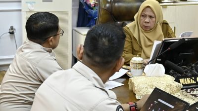 Sulteng Siap Jadi Tuan Rumah untuk Kembangkan Solusi Penanganan Luka Diabetes