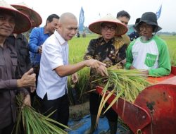 Mendes PDT Luncurkan Program Panen Raya di Lampung
