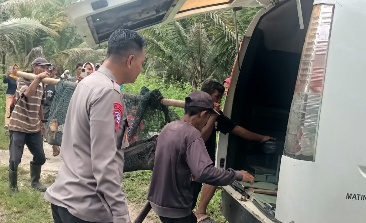 Pria di Banggai Ditemukan Tak Bernyawa