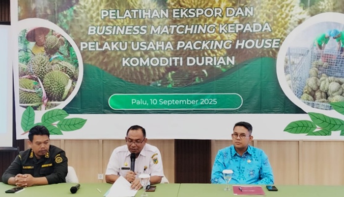 Kepala Dinas TPH Sulteng Sebut Durian Montong hingga Musangking Hadapi Ancaman Penyakit Bangkalan