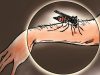 Malaria Mengancam 14 Desa di Parigi Moutong