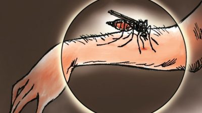 Malaria Mengancam 14 Desa di Parigi Moutong