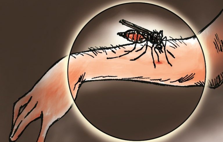 Malaria Mengancam 14 Desa di Parigi Moutong