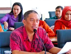 Dorong Inovasi Daerah, Brida Sulteng Gandeng KemenPANRB Sosialisasikan Pelaporan Sinovik