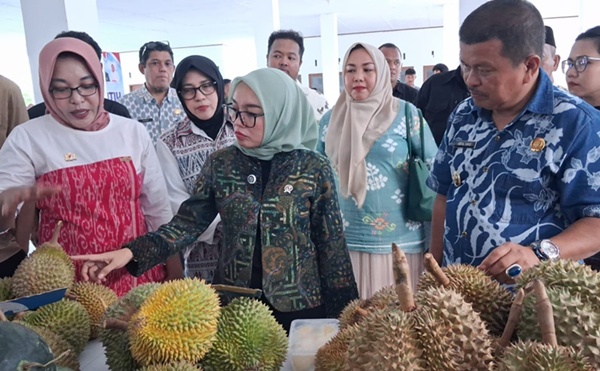 Parigi Moutong Jadi Sorotan Nasional, Pemerintah Pusat Nilai Siap Jadi Pusat Ekspor Durian ke Tiongkok