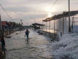 Puluhan Rumah Warga di Parigi Moutong Terendam Banjir Rob