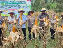 Pemkab Parigi Moutong Siap Perluas Lahan Jagung untuk Ketahanan Pangan