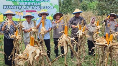 Pemkab Parigi Moutong Siap Perluas Lahan Jagung untuk Ketahanan Pangan