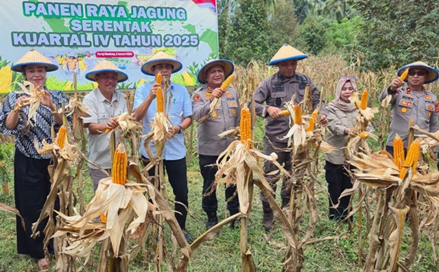 Pemkab Parigi Moutong Siap Perluas Lahan Jagung untuk Ketahanan Pangan