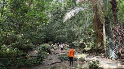Tim SAR Cari Lansia 90 Tahun di Banggai yang Hilang saat Berkebun