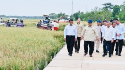 Presiden Prabowo Dorong Nilai Tambah Pertanian Lewat Hilirisasi