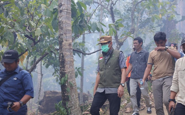 Tangani Kebakaran Hutan dan Lahan, Bupati Parigi Moutong Sebut Akan Gunakan Dana BTT