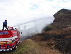 147 Hektare Lahan Terbakar di Parigi Moutong, BPBD Sebut Penanganan Dilakukan Terpadu