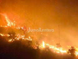 Kawasan Hutan Labuan Donggulu Terbakar, BPBD Parigi Moutong Kerahkan Tim Melakukan Pemadaman