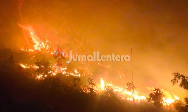 Kawasan Hutan Labuan Donggulu Terbakar, BPBD Parigi Moutong Kerahkan Tim Melakukan Pemadaman
