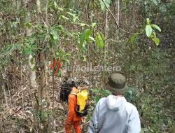 Tim SAR Cari Lansia Hilang di Perkebunan Walatana Sigi
