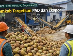 SIKIM Parigi Moutong Segera Aktif, Pemkab Targetkan PAD dan Ekspor