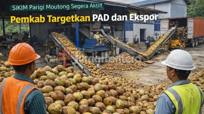 SIKIM Parigi Moutong Segera Aktif, Pemkab Targetkan PAD dan Ekspor