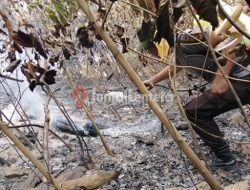 Kebakaran Hutan di Parigi Utara Belum Padam, Petugas Terus Lakukan Pemantauan