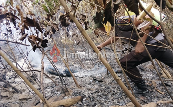 Kebakaran Hutan di Parigi Utara Belum Padam, Petugas Terus Lakukan Pemantauan