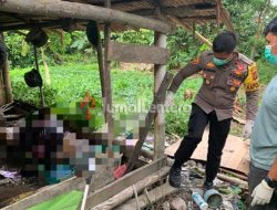 Penemuan Mayat Pria di Parigi Moutong, Polisi Pastikan Tidak Ada Tanda Kekerasan