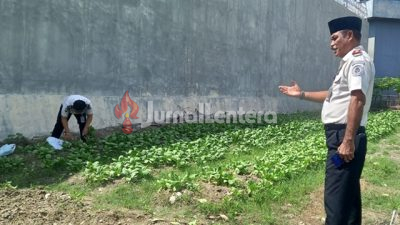 Lapas Kelas III Parigi Moutong Kembangkan Program Kemandirian Bagi Warga Binaan