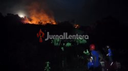 Karhutla Kembali Terjadi di Parigi Moutong, Lima Hektare Lahan Terbakar