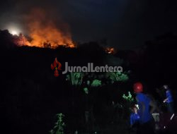 Karhutla Kembali Terjadi di Parigi Moutong, Lima Hektare Lahan Terbakar