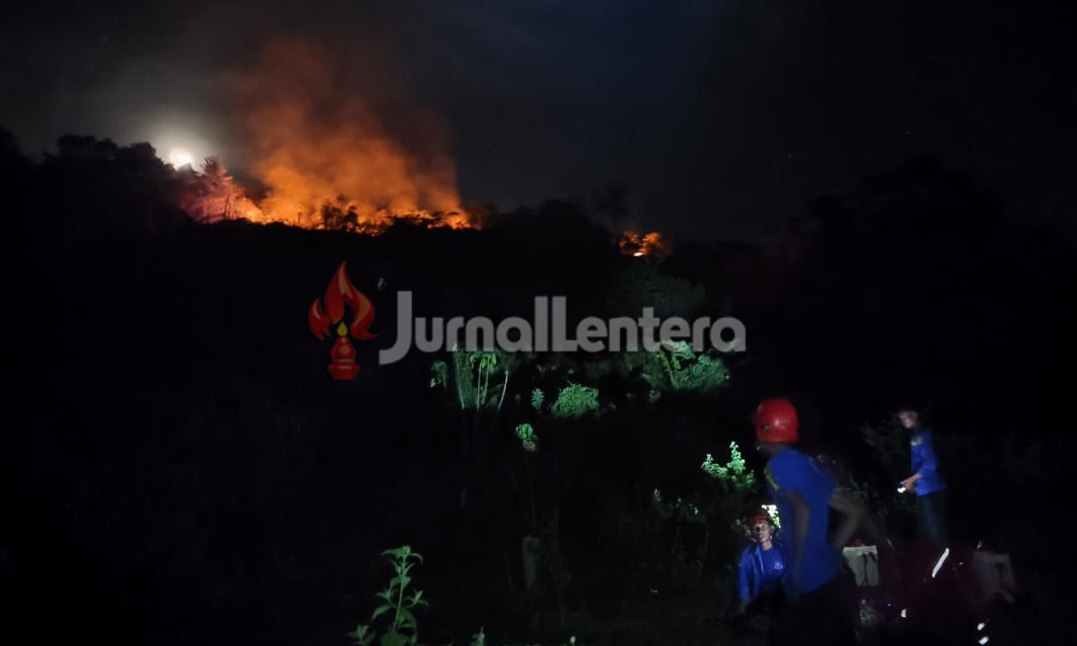 Karhutla Kembali Terjadi di Parigi Moutong, Lima Hektare Lahan Terbakar