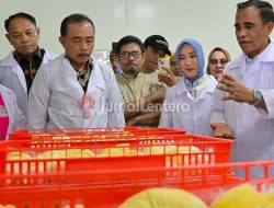 Gubernur Sulteng: Hilirisasi Durian Kunci Gerakkan Ekonomi dari Hulu ke Hilir