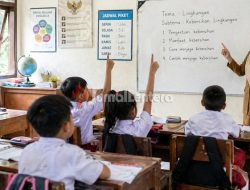 Disdikbud Parigi Moutong Ungkap Penyebab Anjloknya Nilai Pendidikan di Sekolah