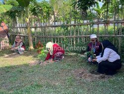 Peternak di Parigi Moutong Kini Bisa Dapat Bibit Pakan Gratis dari Pemerintah