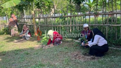 Peternak di Parigi Moutong Kini Bisa Dapat Bibit Pakan Gratis dari Pemerintah