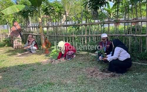 Peternak di Parigi Moutong Kini Bisa Dapat Bibit Pakan Gratis dari Pemerintah