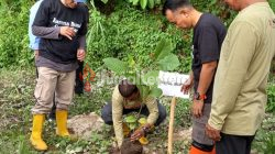 Ribuan Bibit Ditanam di Torue, Upaya Serius Parigi Moutong Lawan Perubahan Iklim