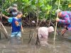 LPAP El Capitan dan LSA Gagantu Wild Kolaborasi Tanam Ribuan Mangrove di Peringatan Hari Bumi Sedunia