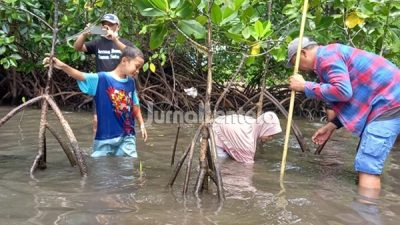 LPAP El Capitan dan LSA Gagantu Wild Kolaborasi Tanam Ribuan Mangrove di Peringatan Hari Bumi Sedunia