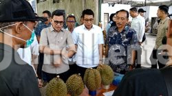 Ada Ancaman Penyakit Bangkalan di Balik Sukses Ekspor Durian Parigi Moutong