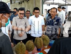 Ada Ancaman Penyakit Bangkalan di Balik Sukses Ekspor Durian Parigi Moutong
