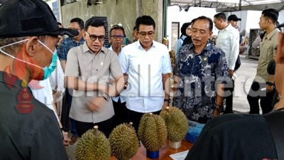 Ada Ancaman Penyakit Bangkalan di Balik Sukses Ekspor Durian Parigi Moutong